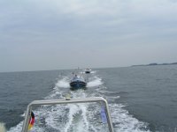 Hanse sail 2010.SANY3383